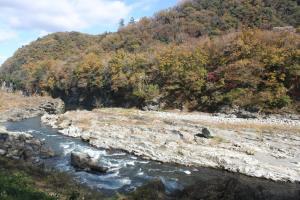 IMG_2487.JPG