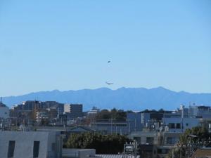 IMG_7957.JPG
