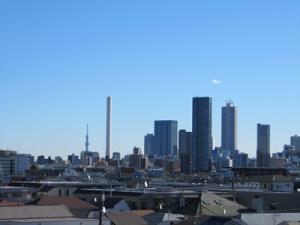 IMG_7960.JPG
