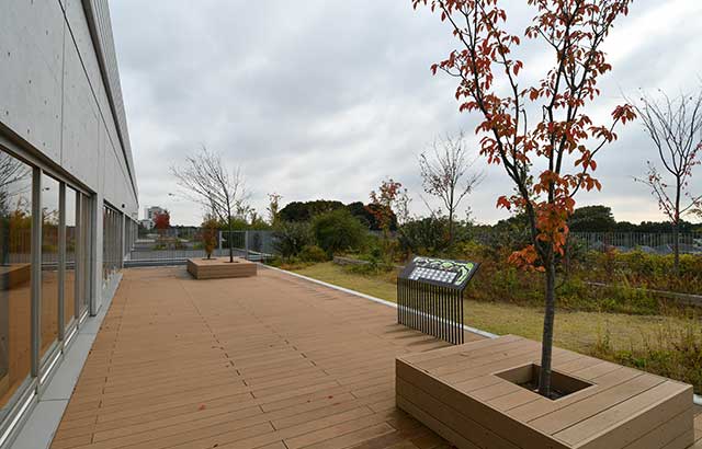 屋上庭園の画像