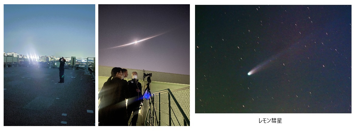 自主研修レモン