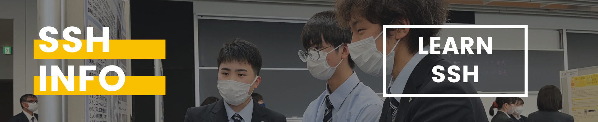kohobanner