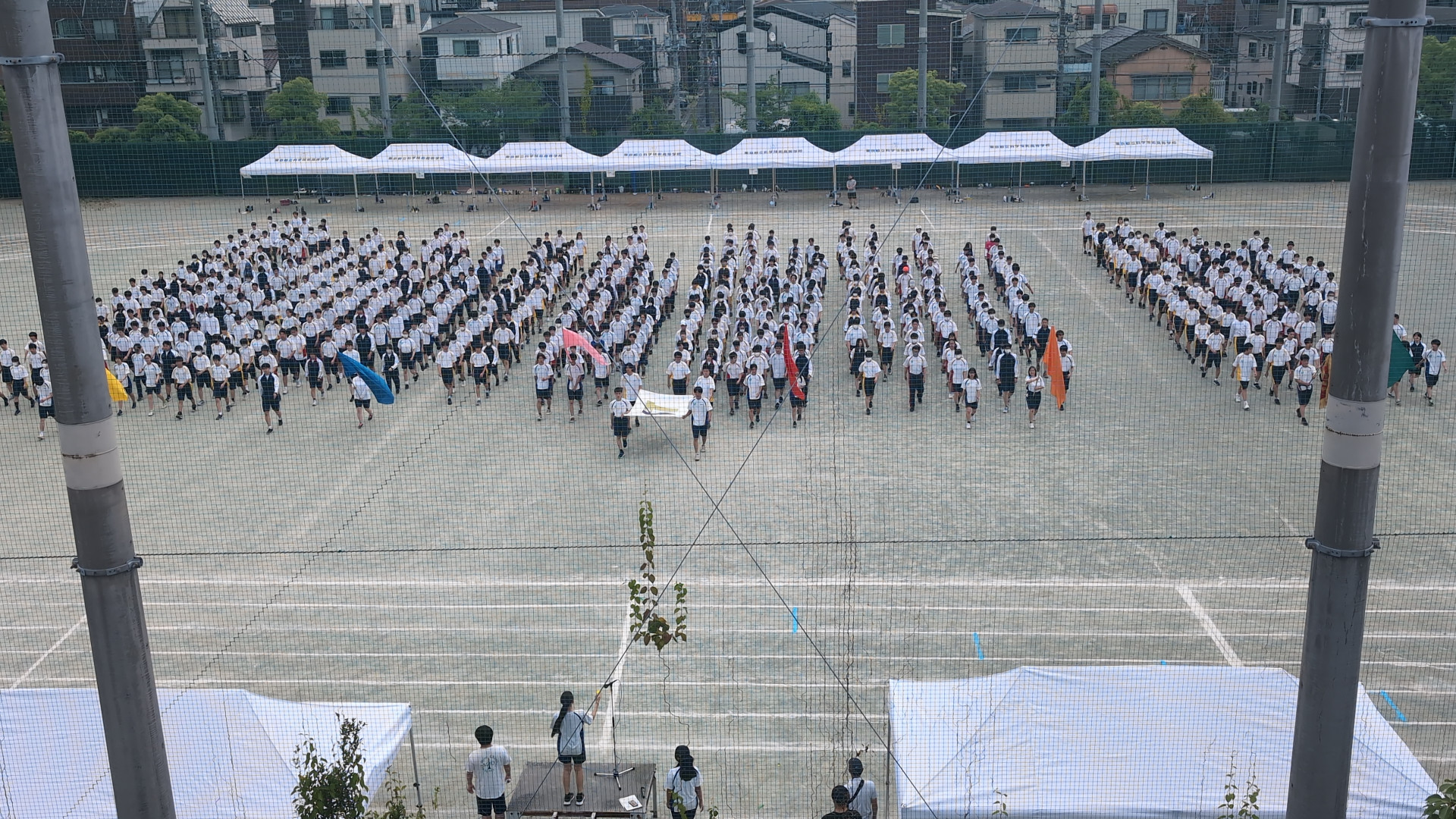 taiikusaiyokou