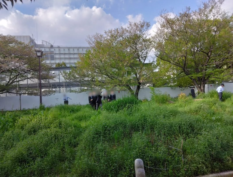 画像11