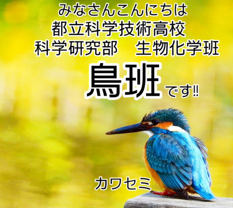 とり