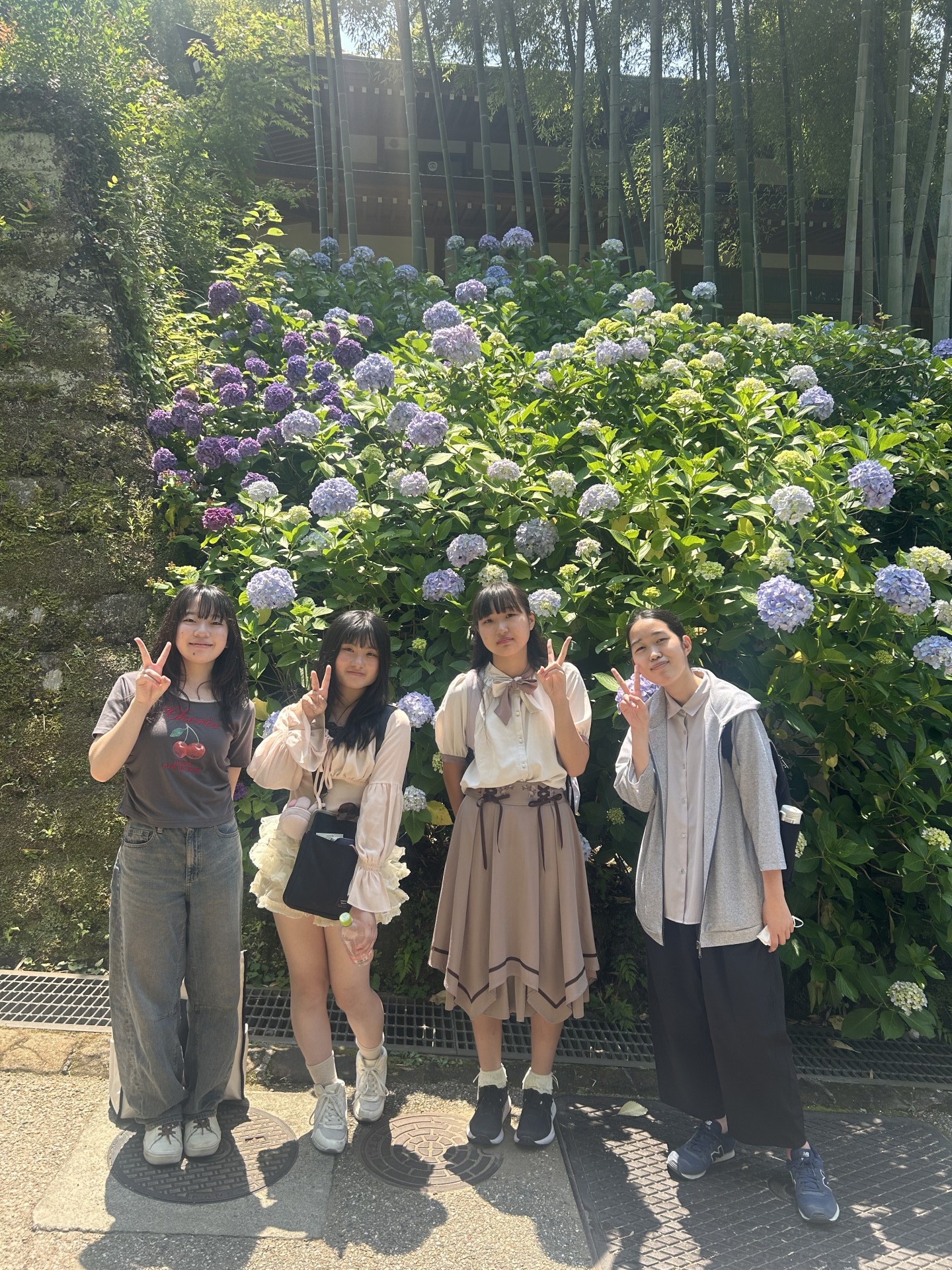 校外学習①あじさい