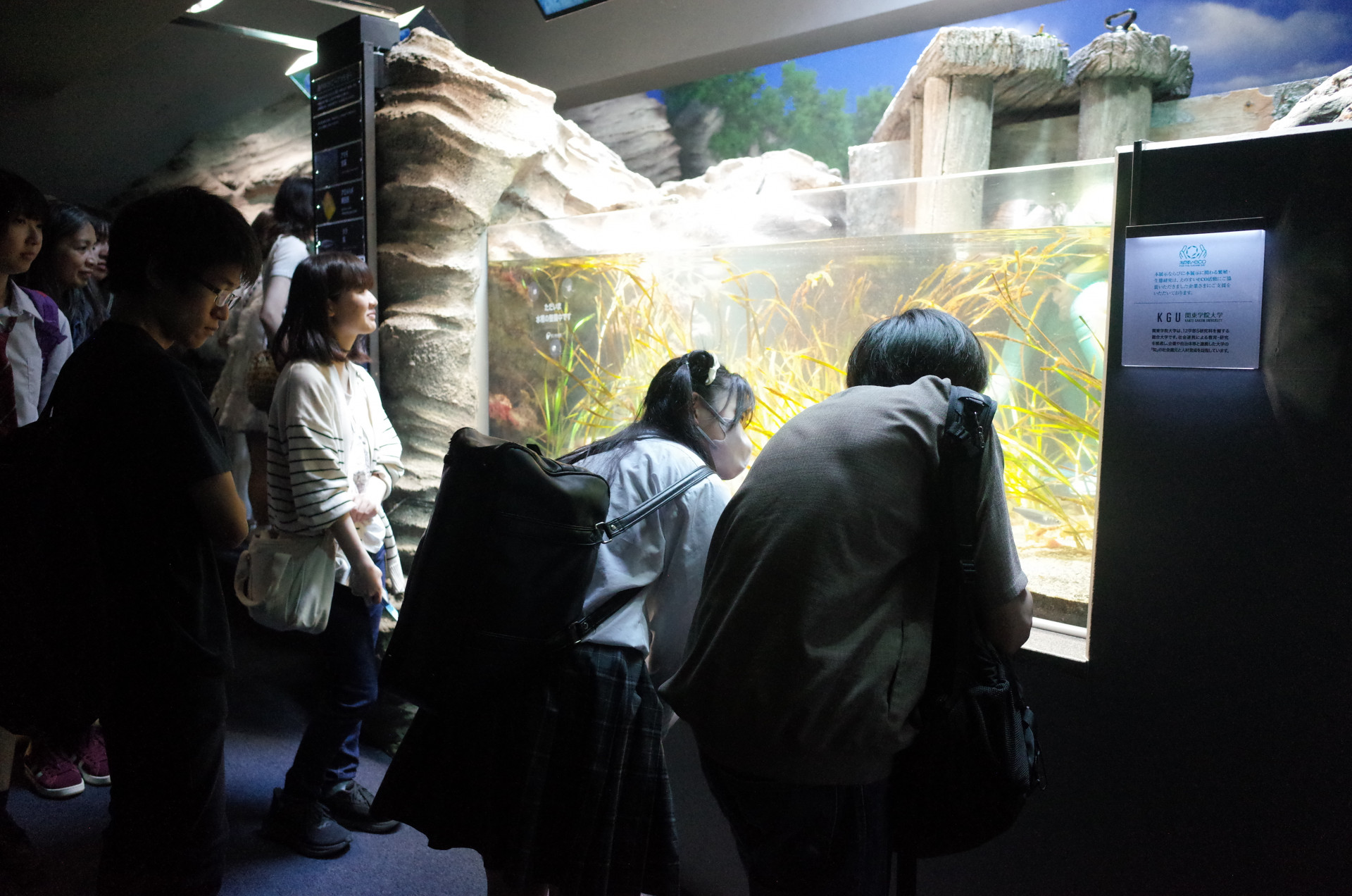 校外学習⑤江ノ島水族館.JPG