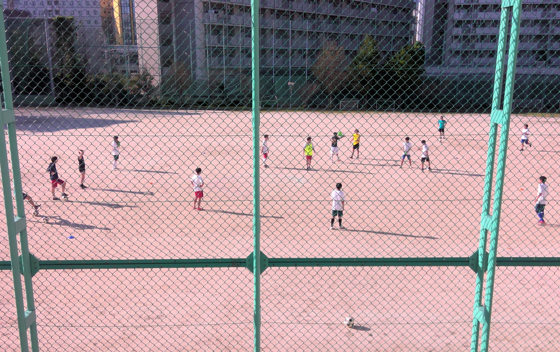 HP3