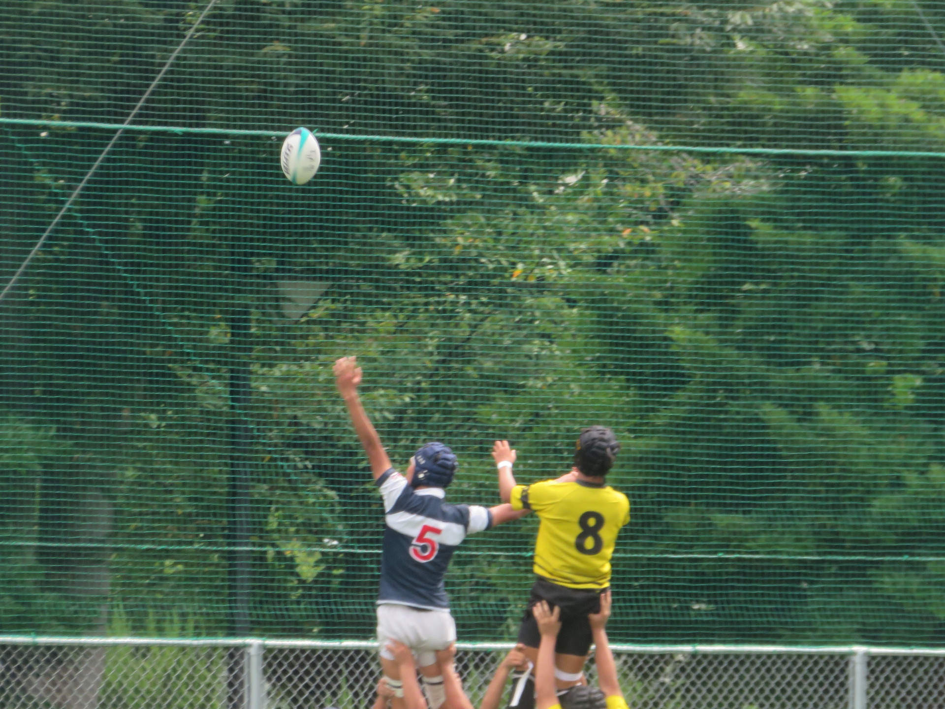 IMG_4970_k0882169@metro.ed.jp