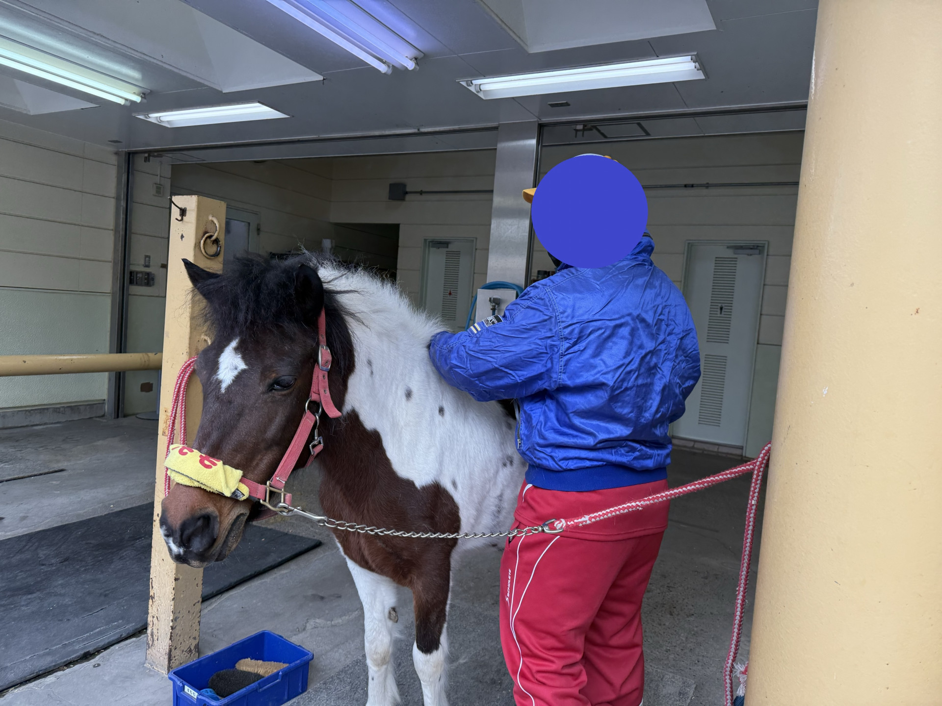なぎさポニーランド②
