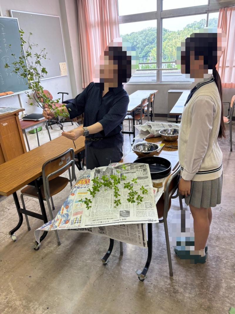 先生からのアドバイス.JPG