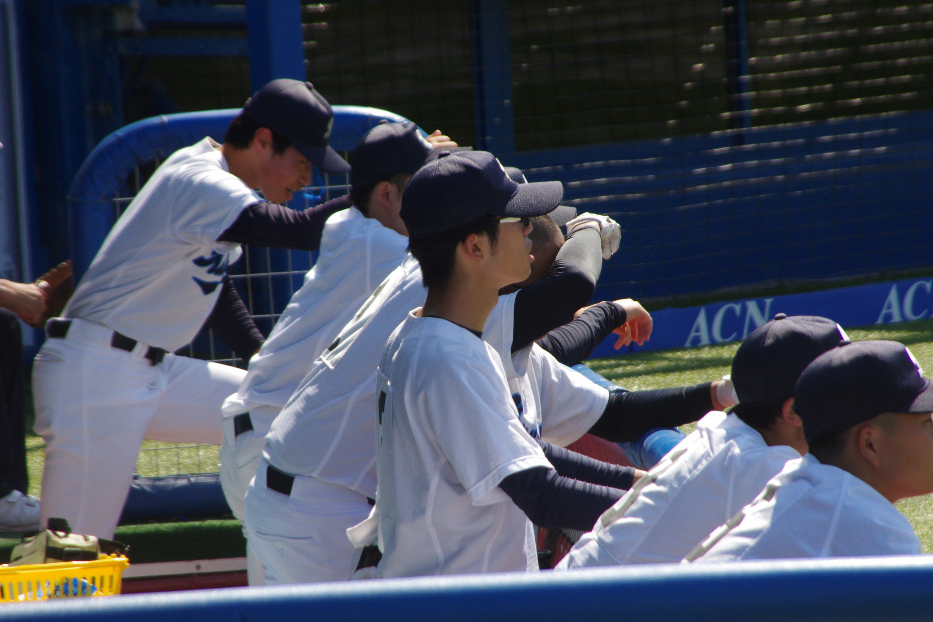 IMGP2432.JPG