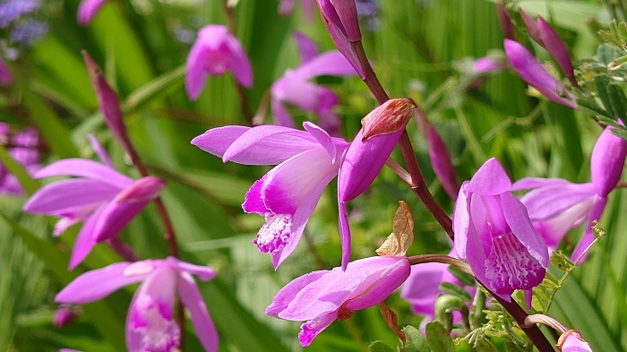20230418_124707.JPG