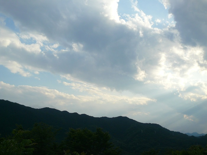 5.朝の山に降り注ぐ光.JPG