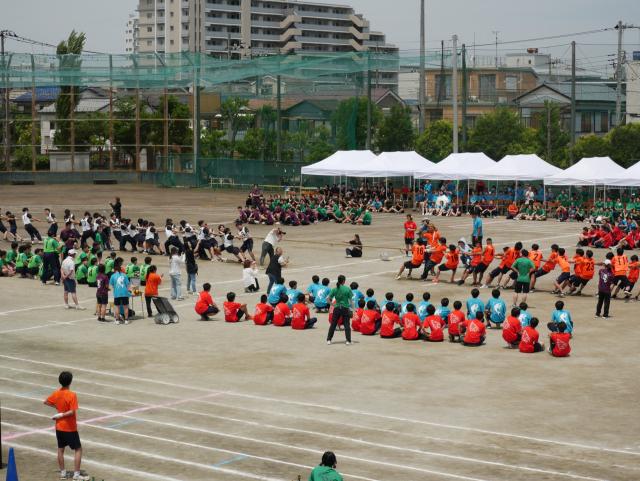 P1070688.JPG