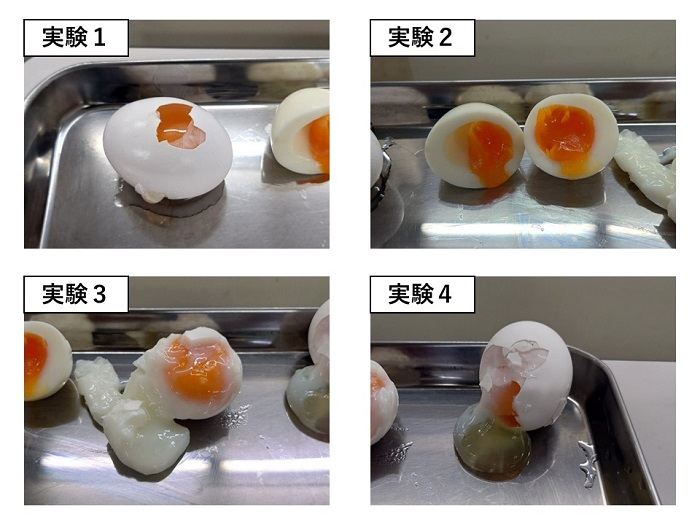 たまごの写真