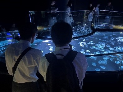 すみだ④