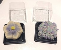 体験学習②