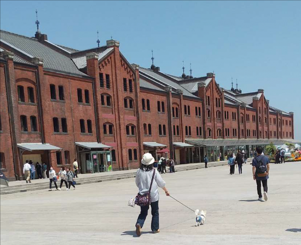 2学年羽田空港と横浜へ校外学習へ行ってきました 東京都立北豊島工業高等学校