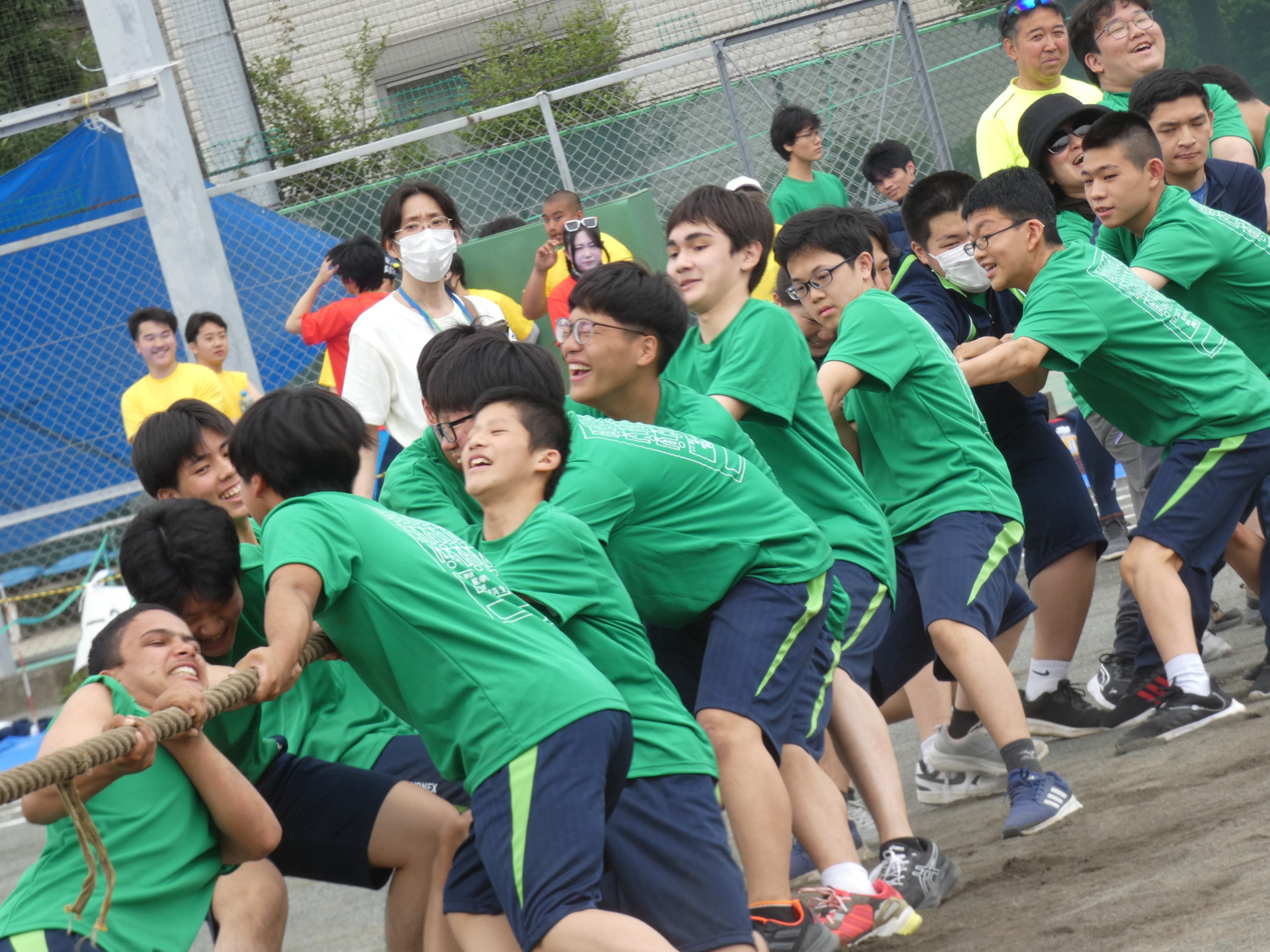 11.1学年綱引き.JPG