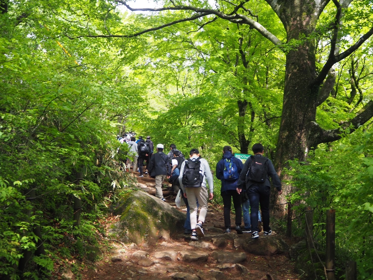17.筑波山散策