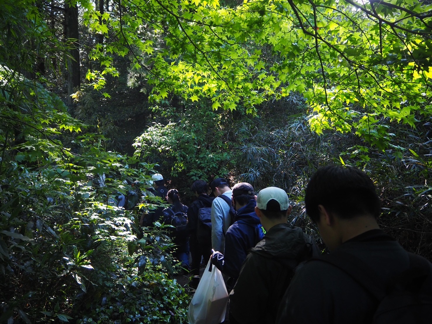 21.筑波山散策