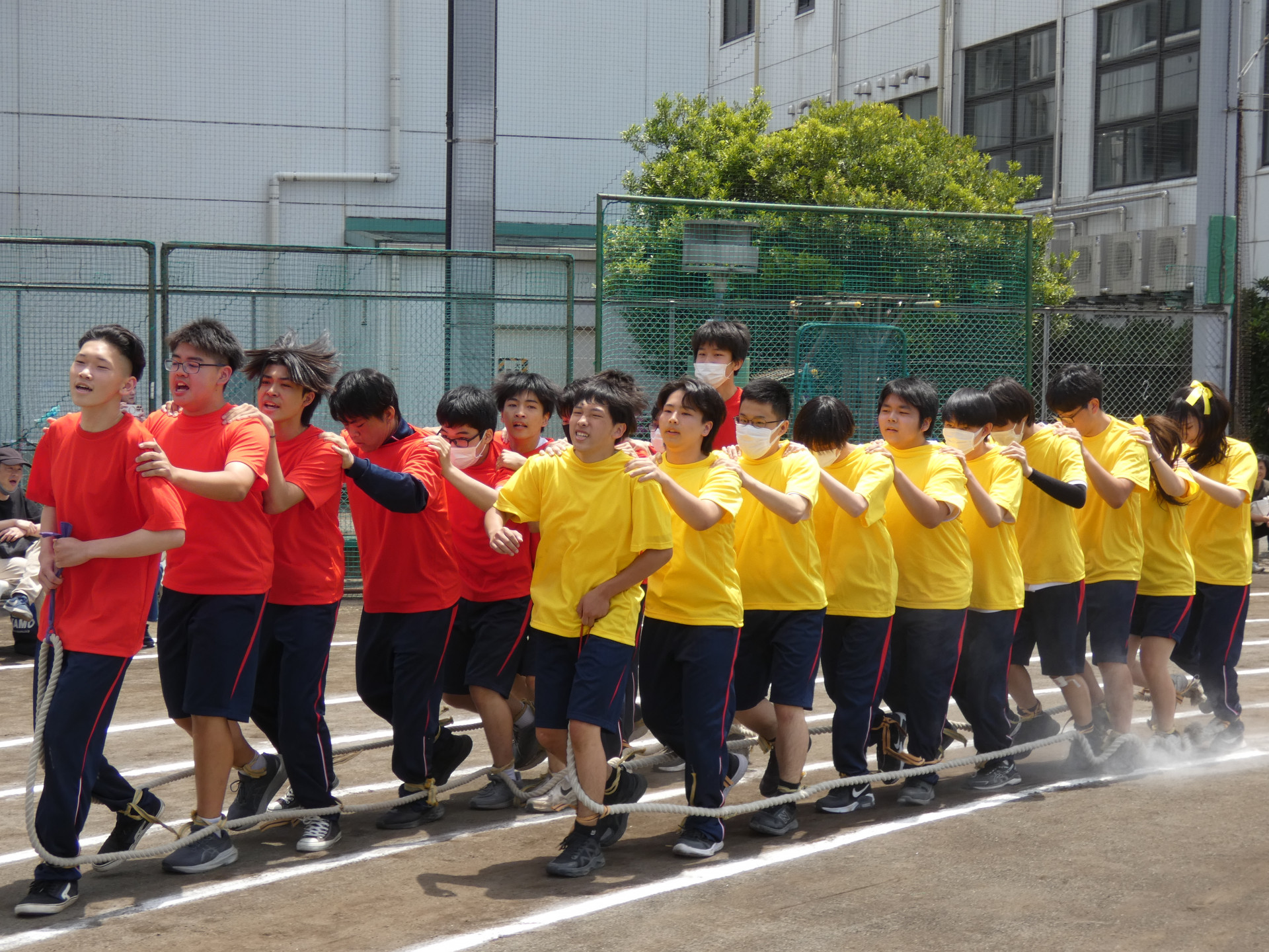23.2学年大百足.JPG