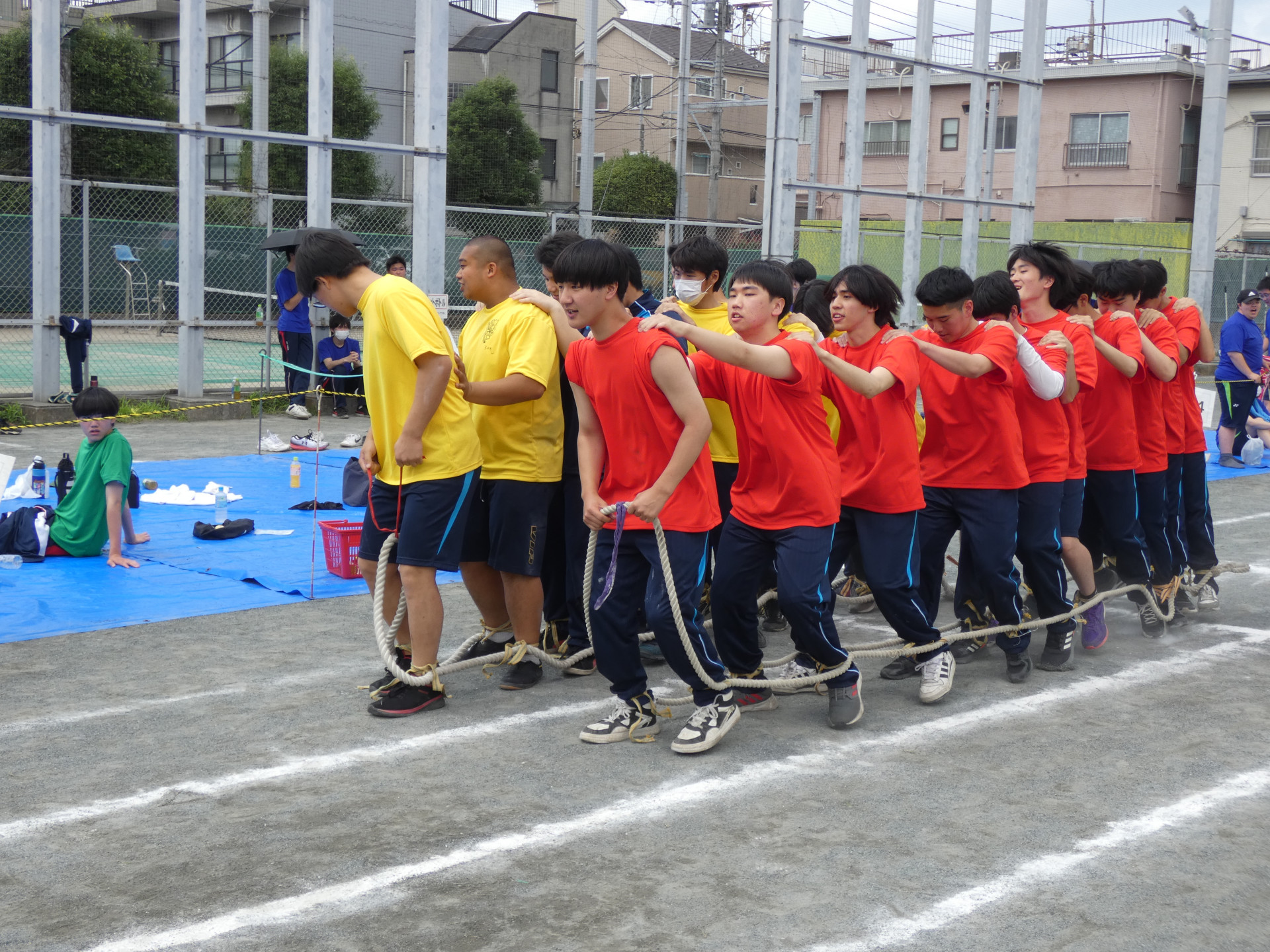 25.3学年大百足.JPG