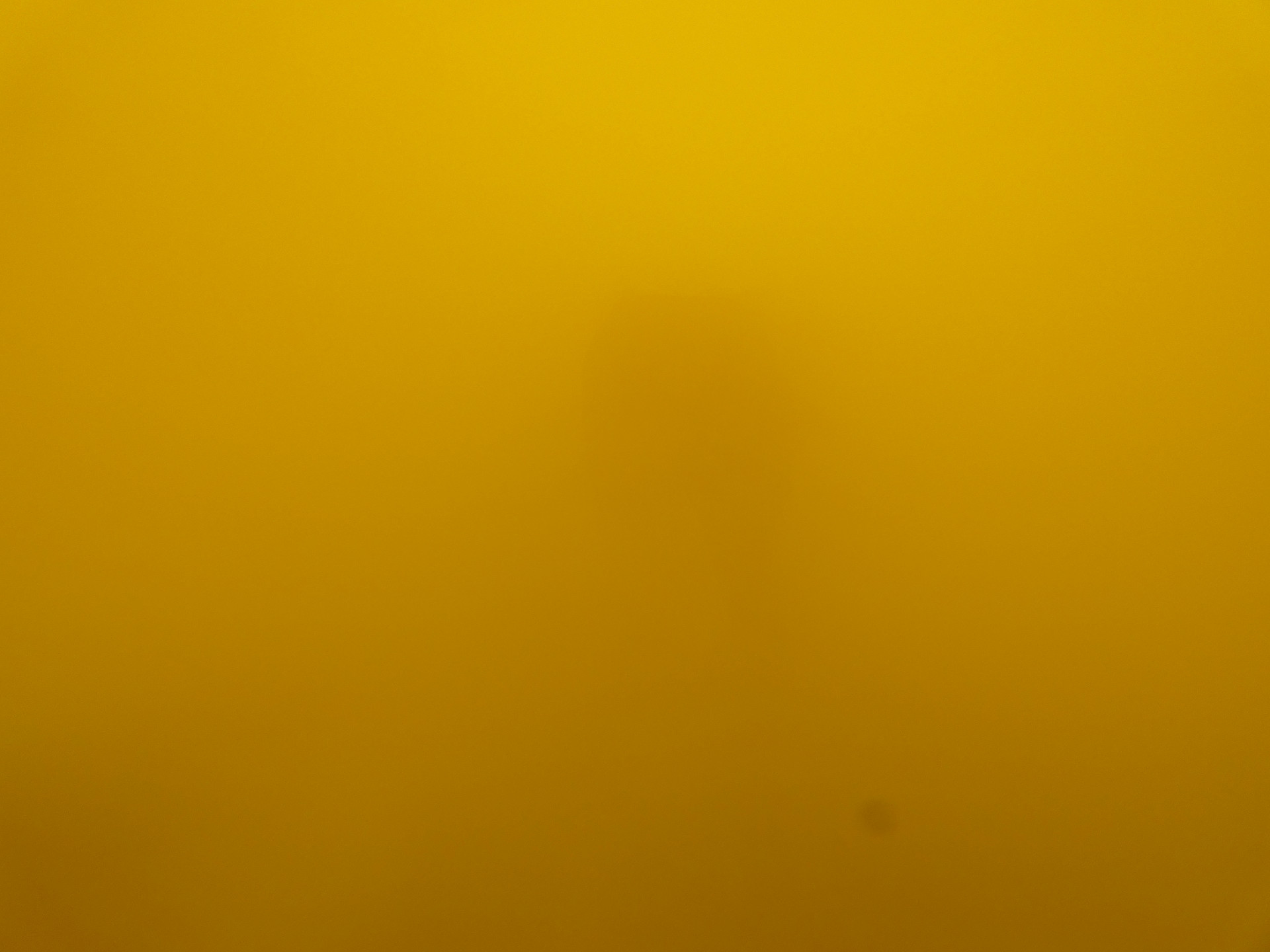 P1060595.JPG