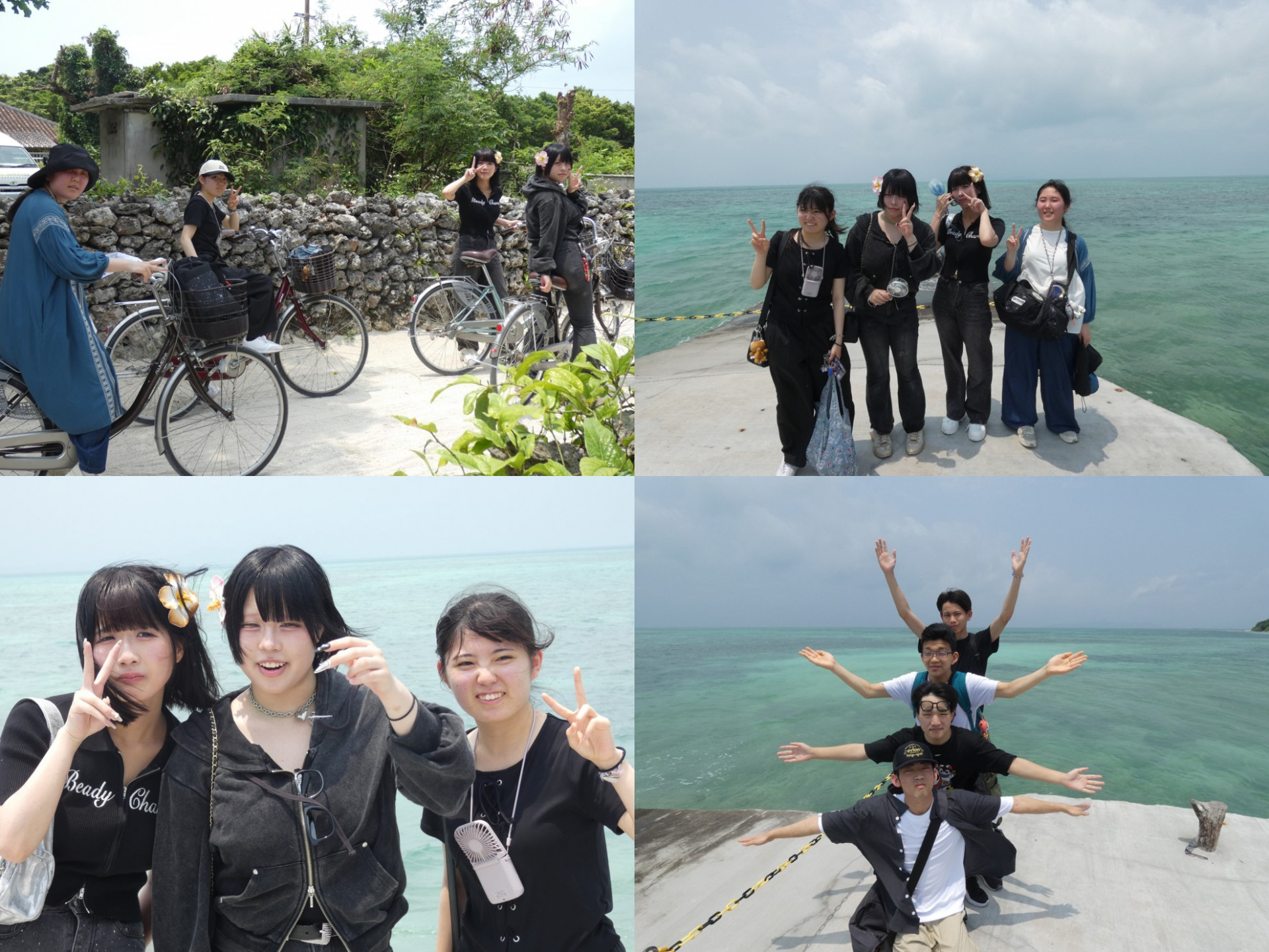 画像11海岸で撮影