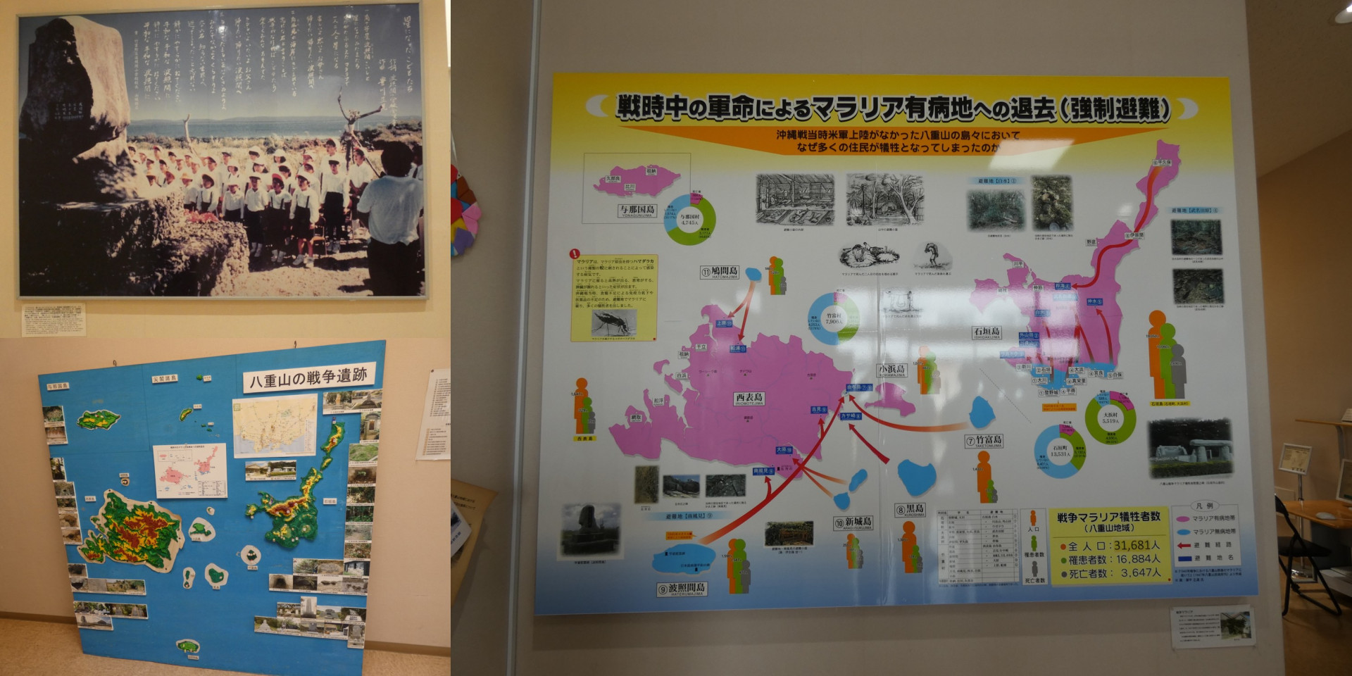 画像20展示資料