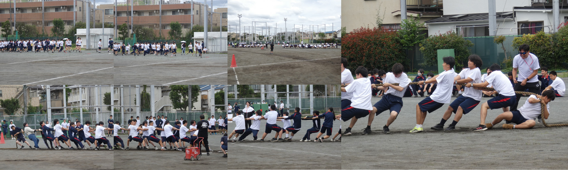 画像8