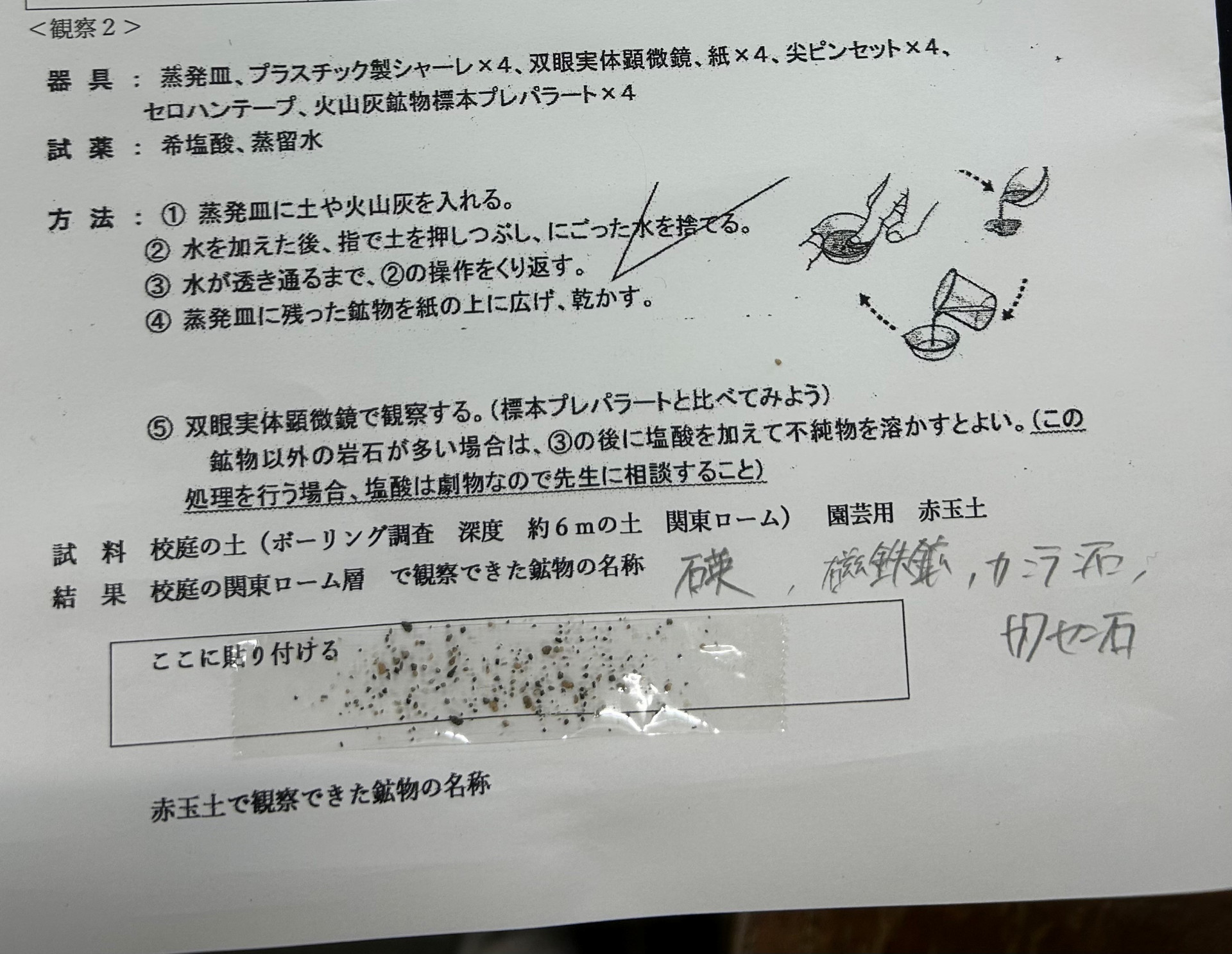 ローム観察８