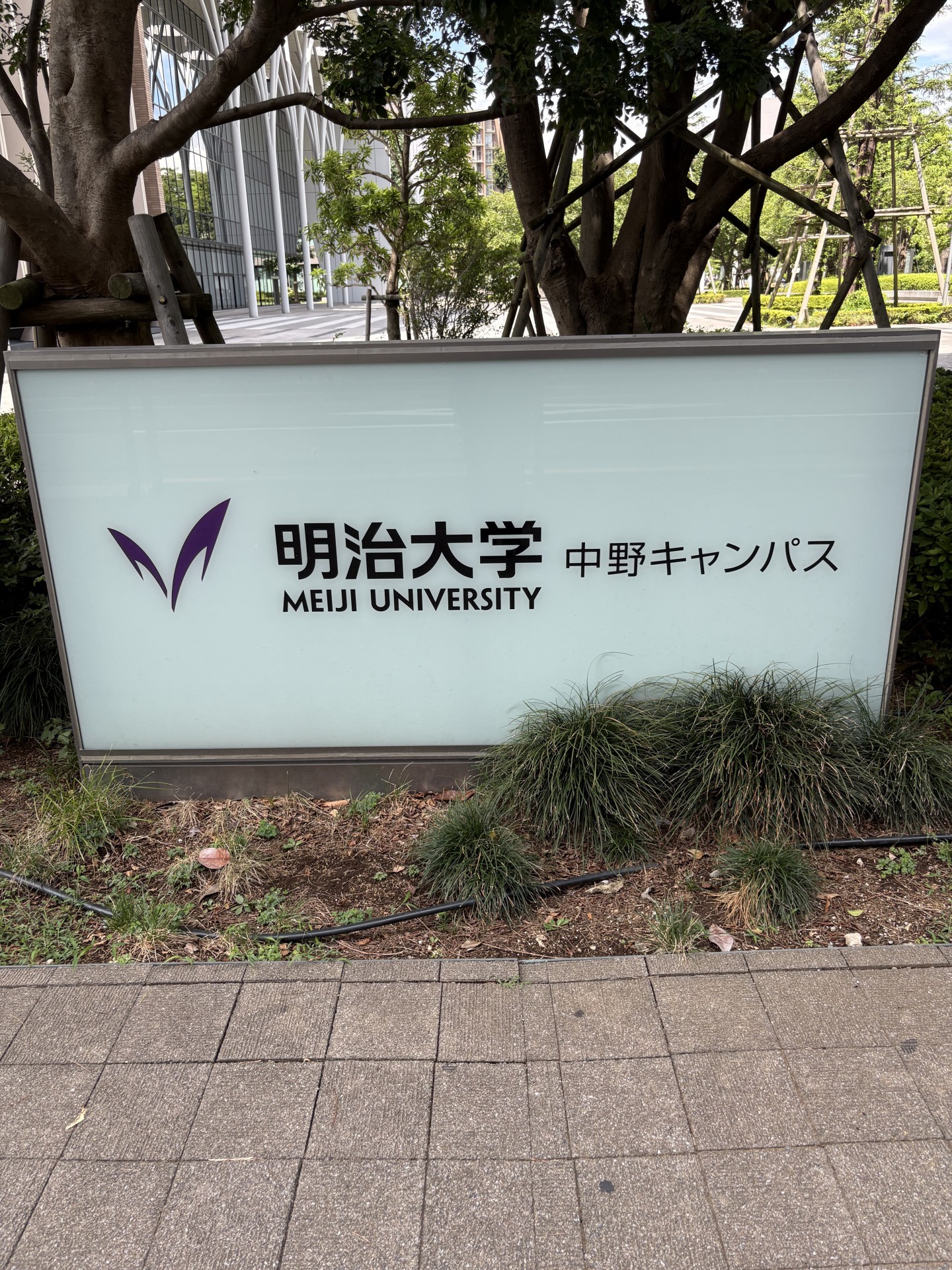 理数探究数学(明治大学)②