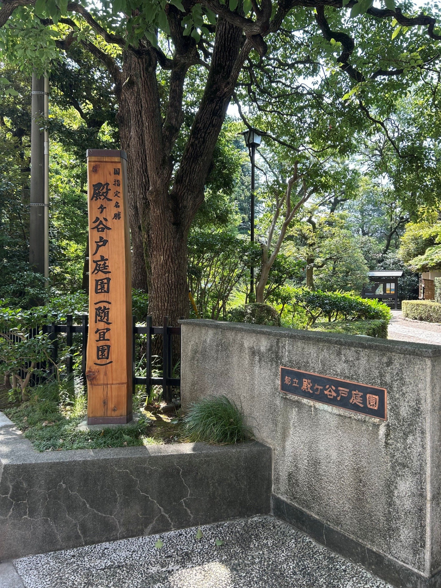 等々力１