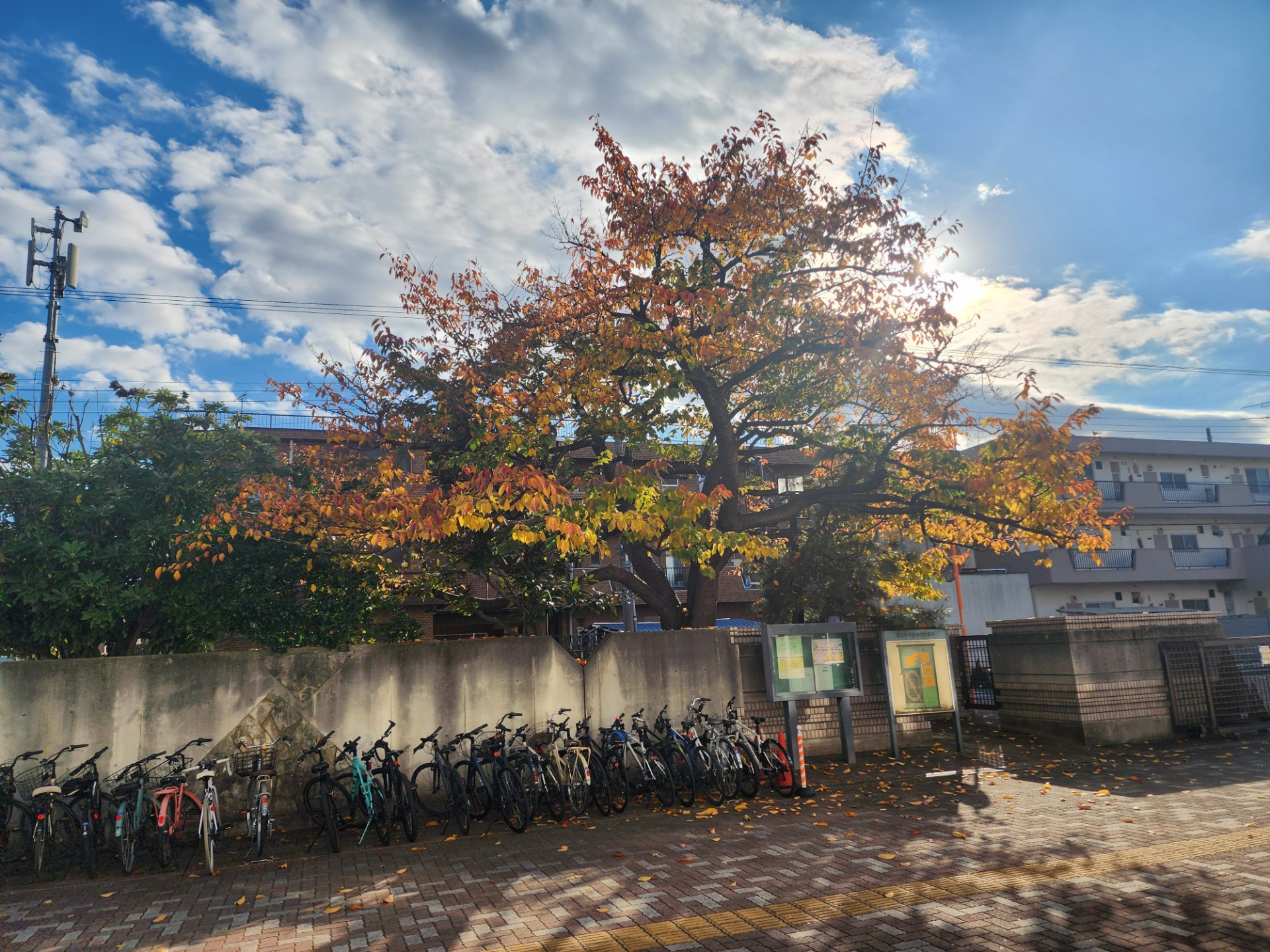 20251119_140735_resized