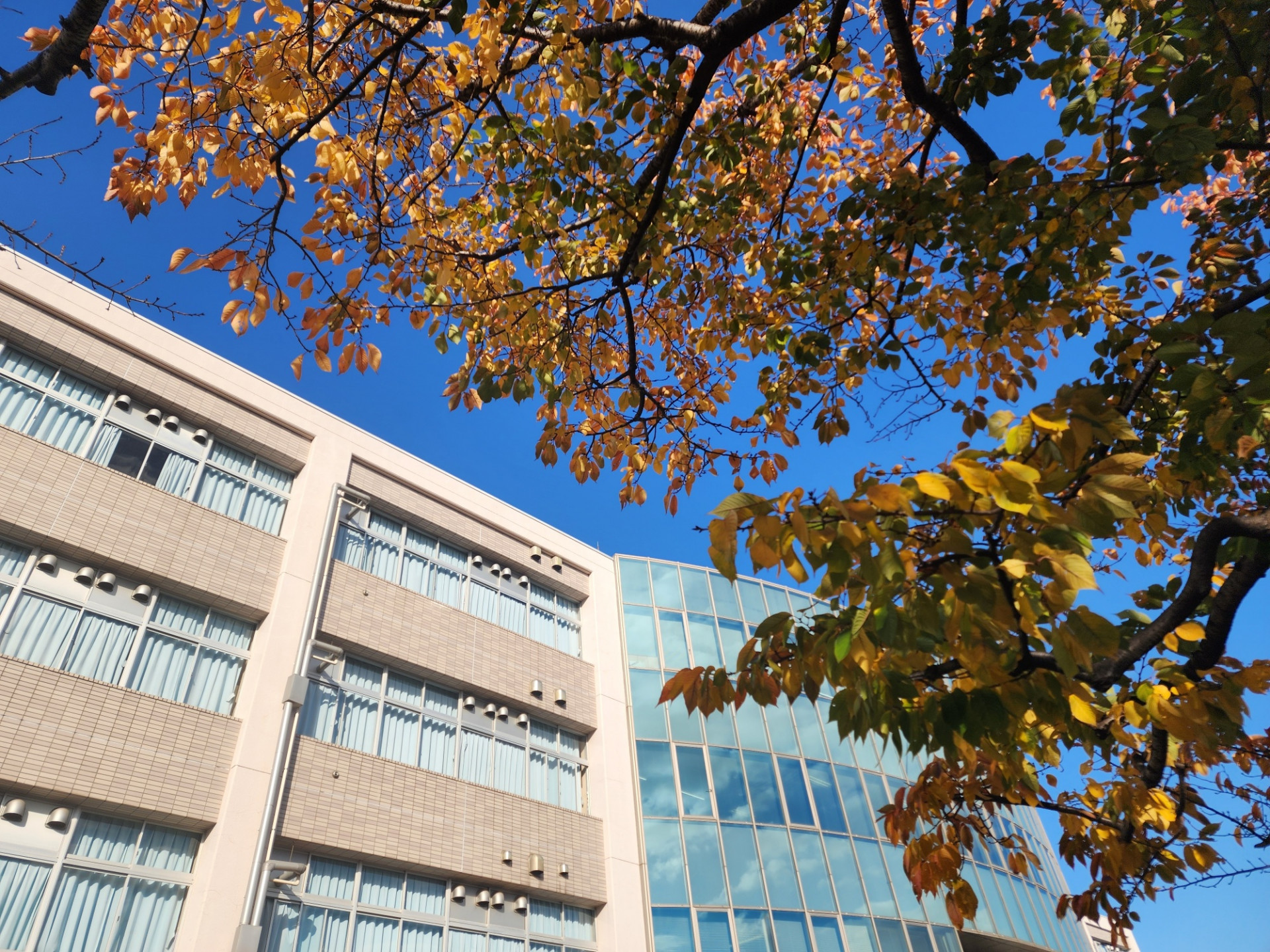 20251119_140810_resized