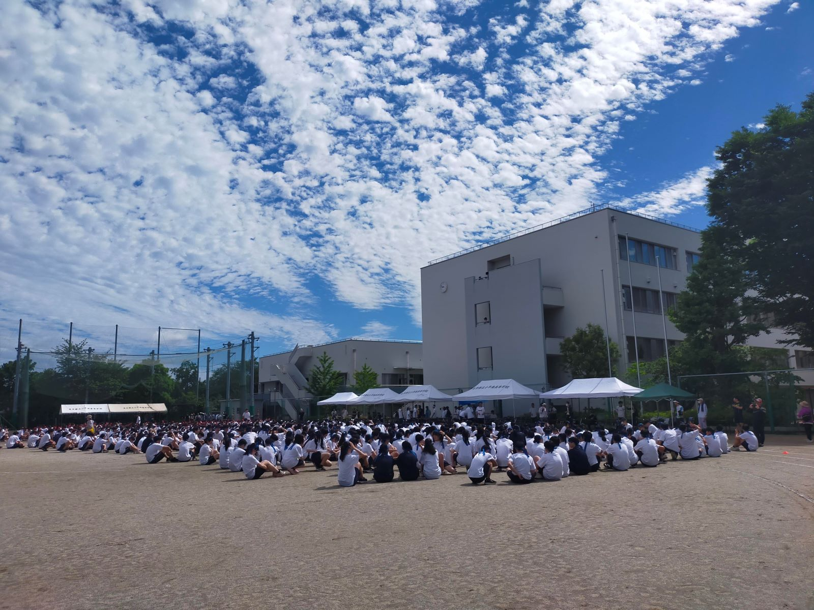 IMG20250604084949