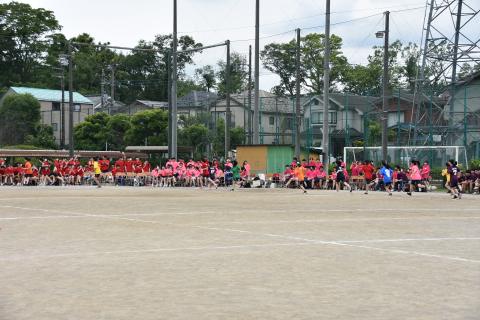 pict-DSC_0073