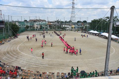 pict-DSC_0335