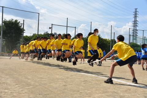 pict-DSC_0386