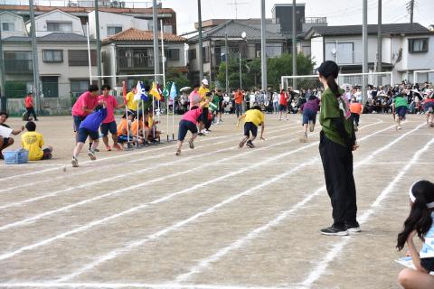 pict-DSC_0417