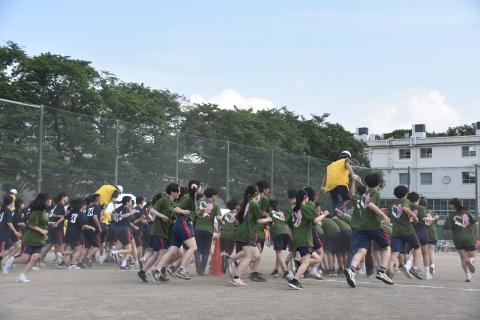 pict-DSC_0447