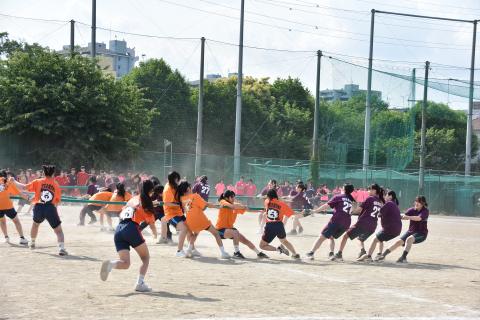 pict-DSC_0457