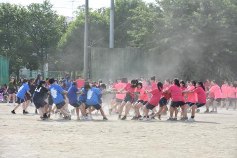pict-DSC_0474
