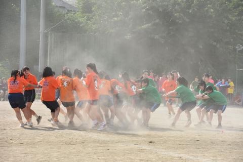 pict-DSC_0481