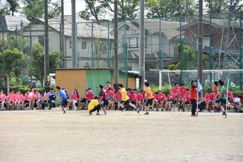pict-DSC_0493
