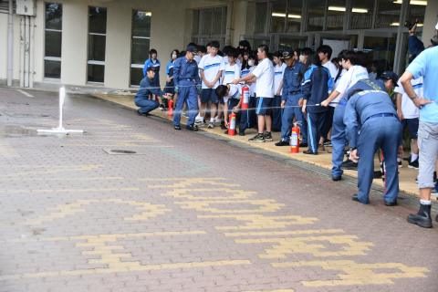 pict-DSC_0529