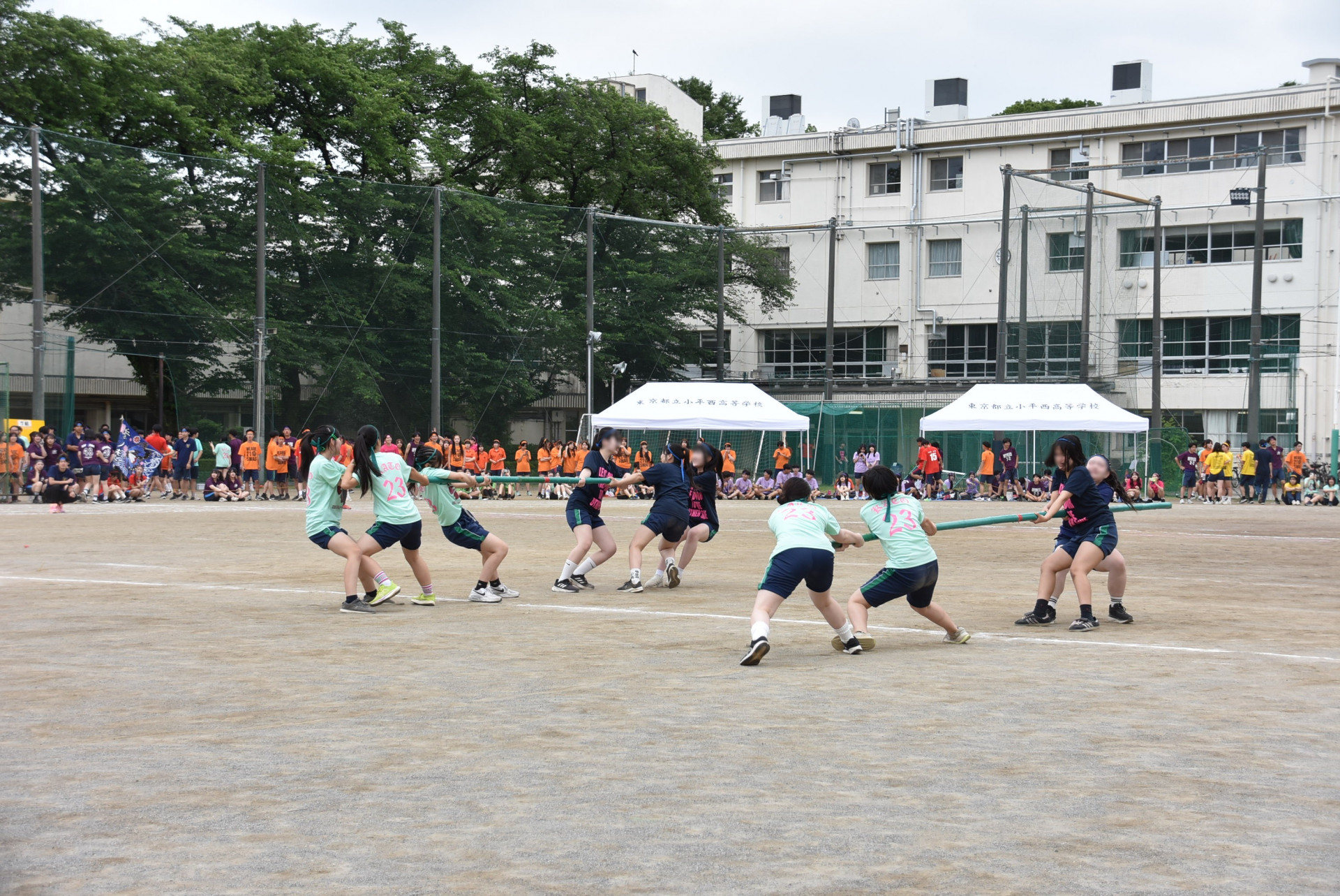 ★棒引きDSC_0481.JPG