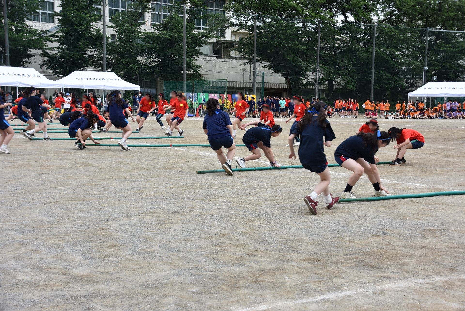 ★棒引きDSC_0497.JPG